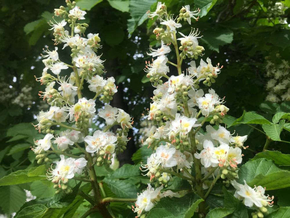 ����� ����� �� ������.. ��� ������ �������