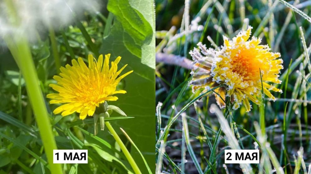 �� ����� ��� ������, �� �������