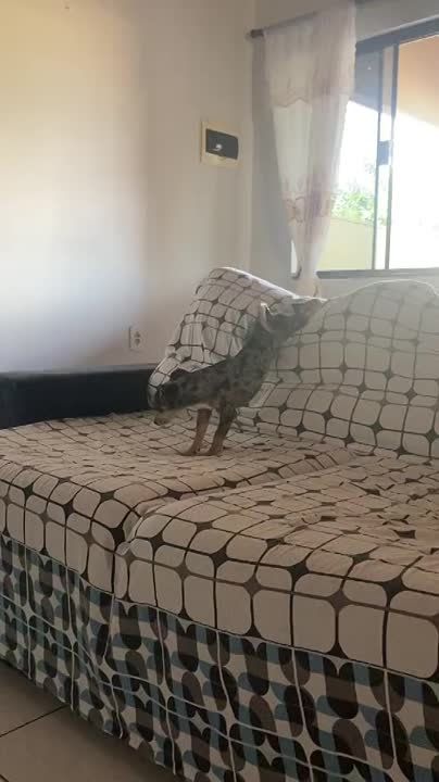 ����� ��������� ���������, �� �� ��������, ��� ����������� �� ���������