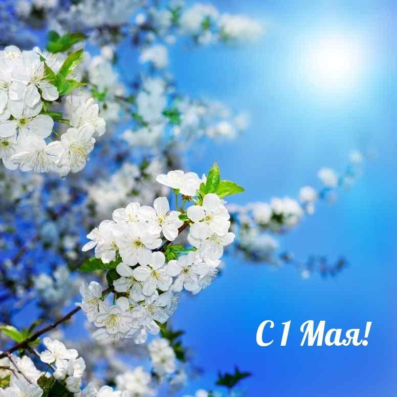 ��������� ������ �. ����������, ������� ��������� ������������ � ���������� ����� � ����� - 1 ���!