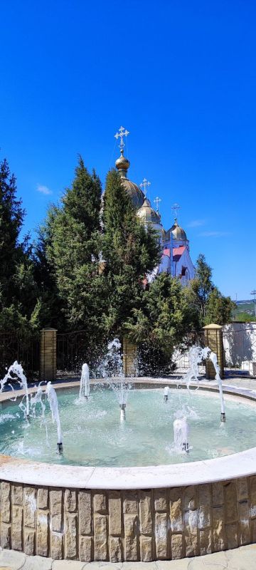 ����� �������� ������