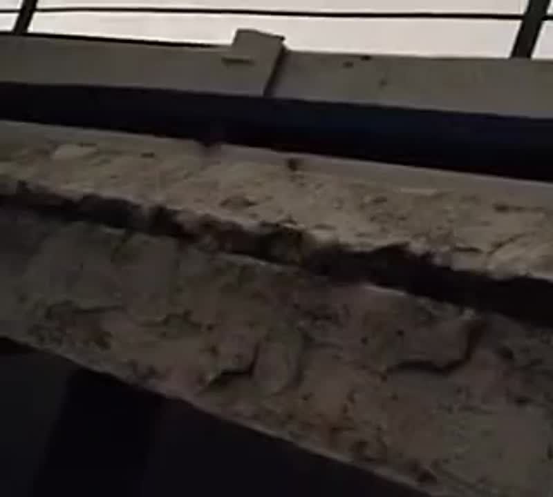 ���������� �� ������������, ��� ������� ����� �� �� ������ ��������� �������� ���� ������������� ������� ������� ��������� ���������� � �������� ����������� �� �������� ������-������������� ��������� �������