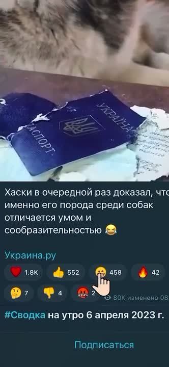 ������� ��� ������� ����� ���, �� ������ ������ ��� ����, � ��� ������