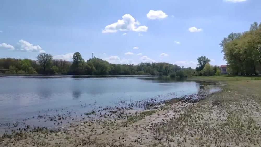 �� ����� ����� ����� ������� ��� ������: