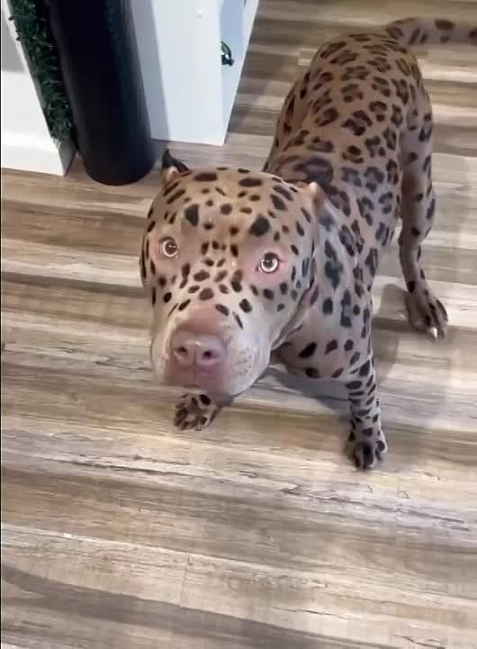 � �������� ������� ������ �� ����� ������ ��������