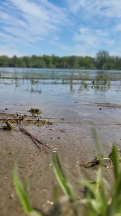 ���� � ����� �� ����� ���������