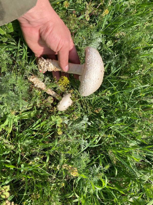 ���� ������� � ������������� �� �����, ����� ������������� �� �������