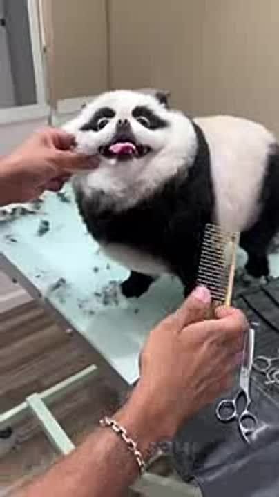 ����������� ������ ���������� �������� � ����� ��������, �������� � ��������� ����� �� �� �����