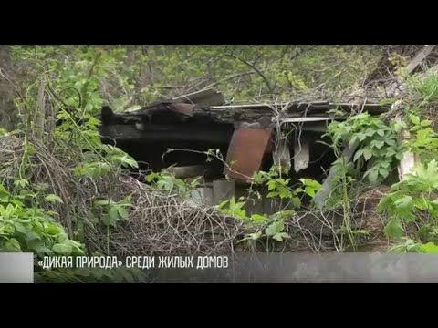 ��������� ���� ���������