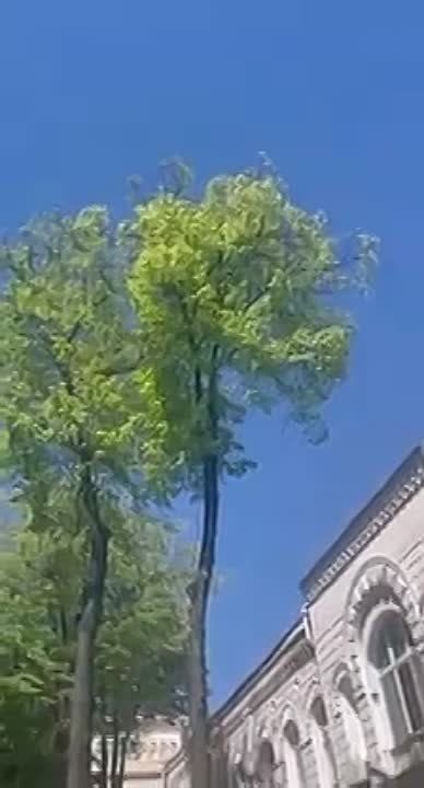 ��� ��������� �������� �������� Black Hawk �������� �������