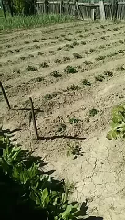 ��������� �� ������ ����������, ����� � ������������� ����������� �����