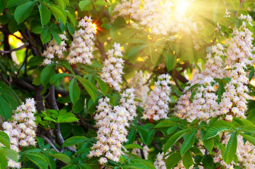 2 ��� ���������� ������������� ���� ���������������, ���� ����� � ������ � ���� ���� �� ��������� ������