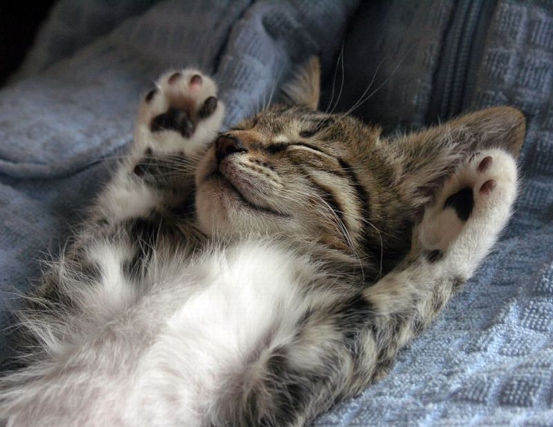 � ��� ������� �� ��� ���� ���������� ���� ���������������