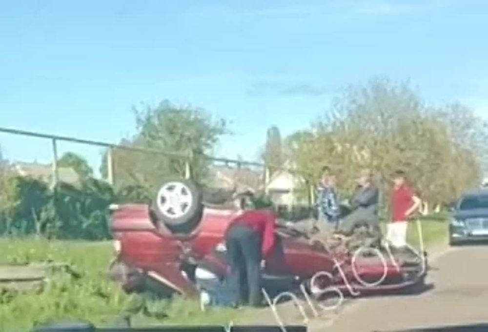 ������������� ����� �. ������������ ������ ������