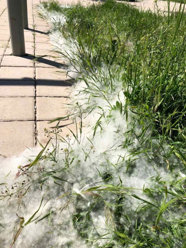 ����� ������� ��� ���������� ���������