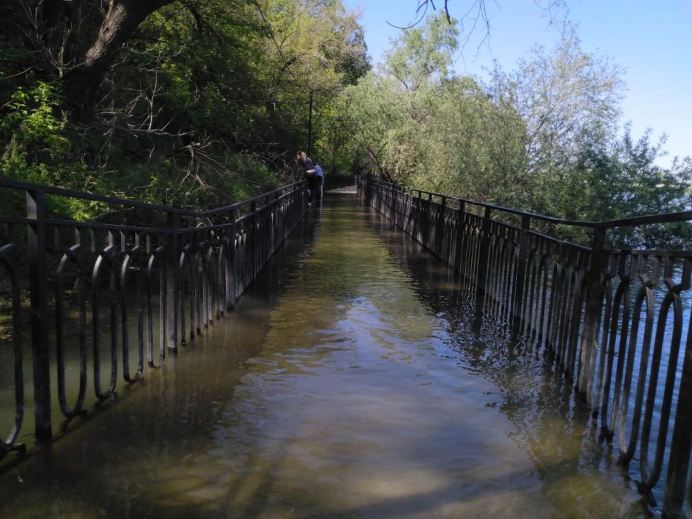 ������ ���������� ���������