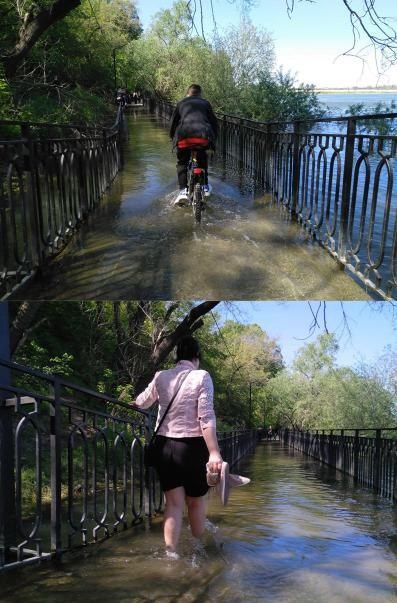 ���� ���� - �� ���� �����������