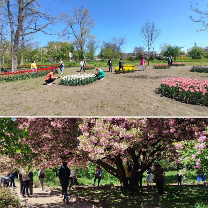 � ��� ������ � ���� ���� �������� ������������ ���������