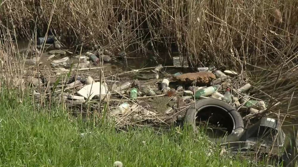 ��� �� ������� � ����� �� ����� � ���������?