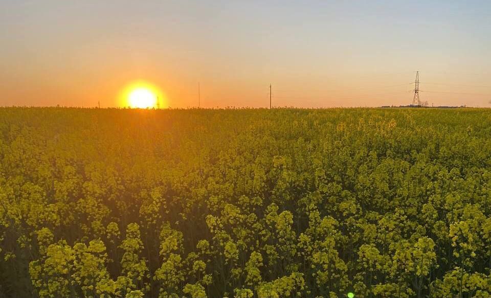 ��������� ���������� ������� �������� ���-����