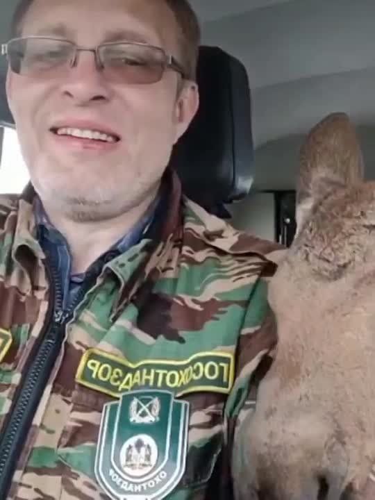 ����������� ��� ������ �������������� ������� ������ � ������������� �������