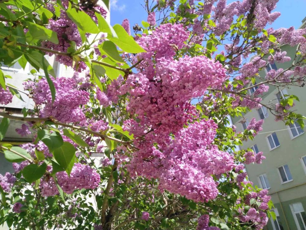 4 ��� ��������� ���������� ����������, ��� �������