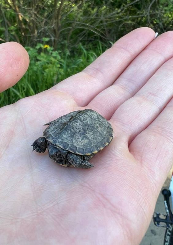 ���������� ��������: ��������� �������� � �������� ����� ������������� � ����������� ����