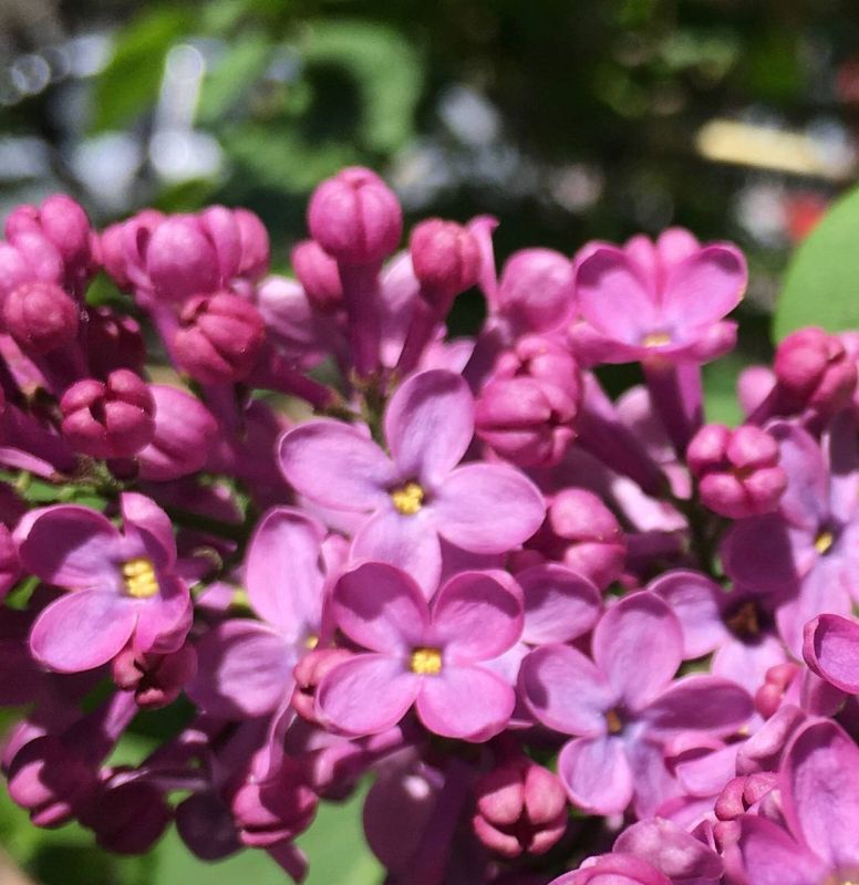 ������� ��������� ������