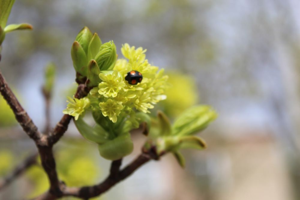 ������� ������ �� 3 ��� 2023 �