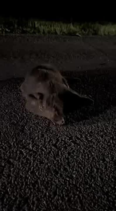 ����� �� ������ ������ ����� ������, ������� ��������� ������