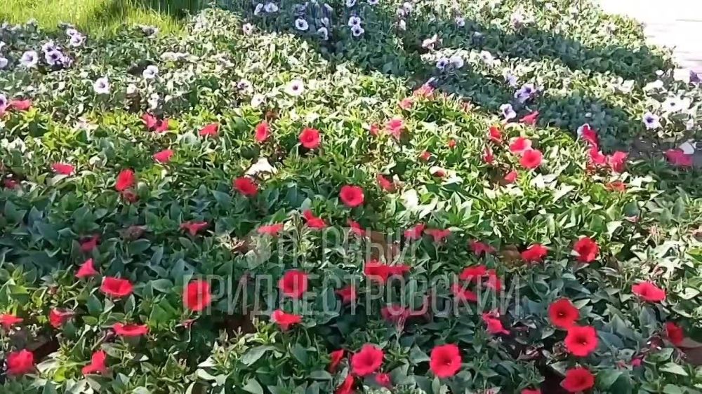 500 ������� � ��������� � ��� ��������������� �����