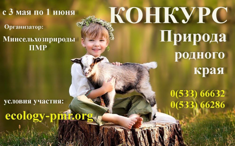 ��������: �������!. ������������ ��������� ��������� � ��������� �������� �������� � ������� ���������������� �������� �������� ������� �����