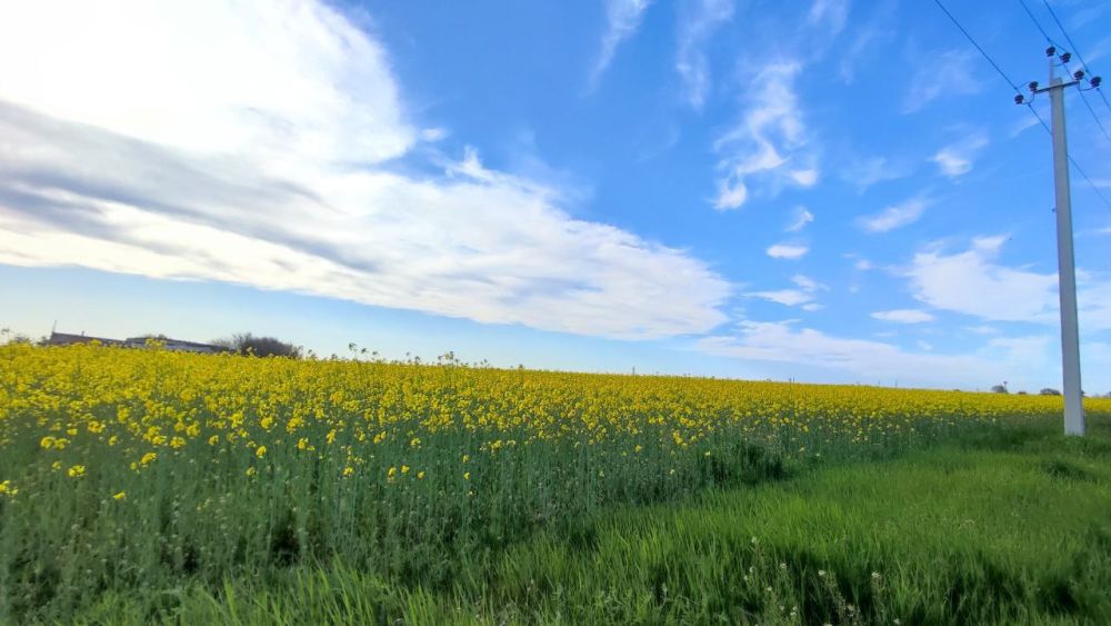 ���������� ������ ���� � ��������