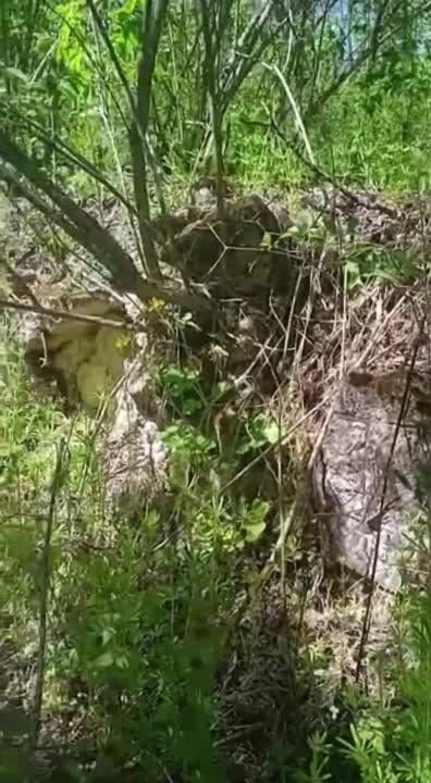 ��� ������������� ���� ������ ������� � ������� � ������