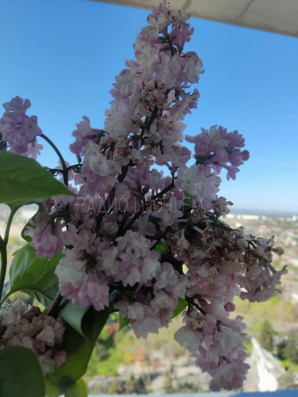 ������� ����, ��� ������ ������, ��� �������� ���..