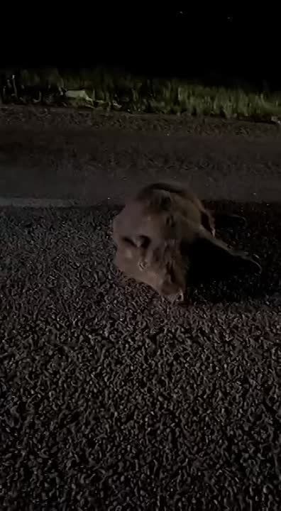 � ������������� ����� �������� ���� ���� ������, ������� ������� ���������� ������