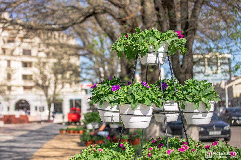 � ������ ��������� ������� ��������� �������