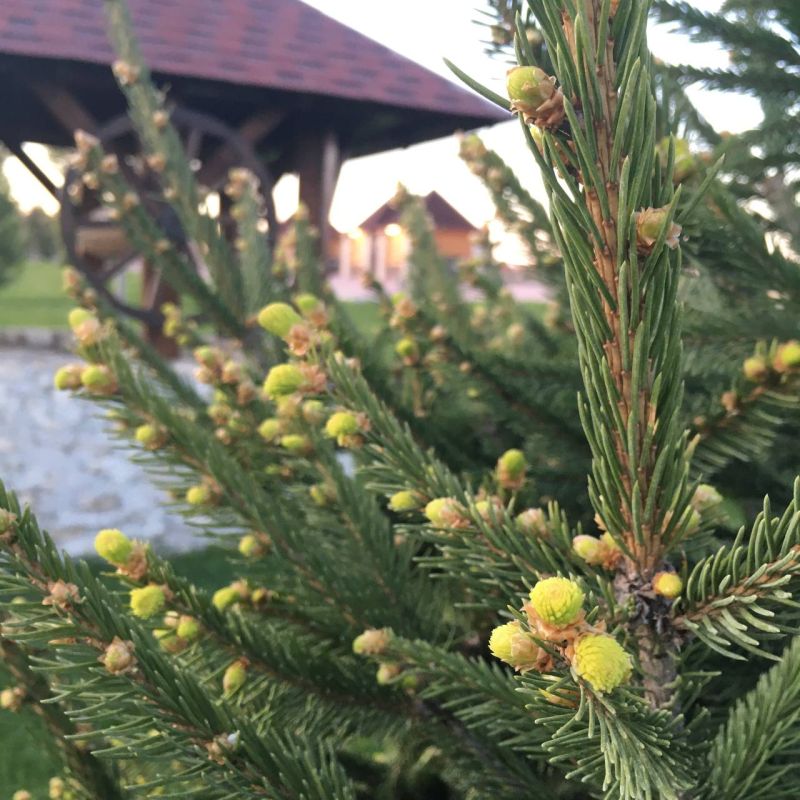 ������ ��� ��������.... ���� �� ����� ��� ������ ���� ��������, �� � ����� ��� ���������� ����. ����� ������� ���������� ��������� �����