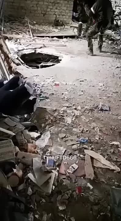 ���������� ����� ������ "�����" �� ���� ������������ ���������� ��������