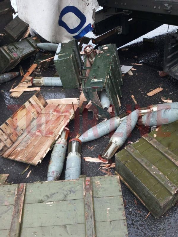 ����� ��������� �������� ���: ��������, ����������� ����������, �������� � �������� � ��������