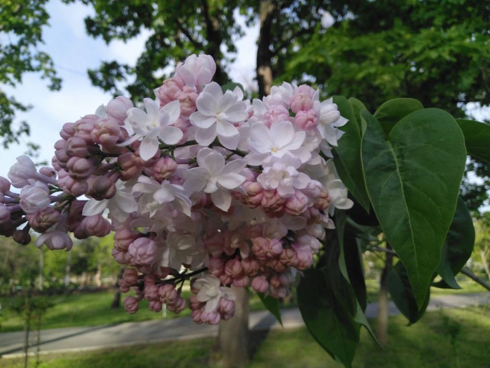 ������� � ���� �������� ������������� ���� ��������, ���� �������� ����, � ��� �� 4 ��� ���������� ��������� ���� ������: ����� ������������ ���� �������� ����� � ������� ������ ������ ������ � ��������� ��������