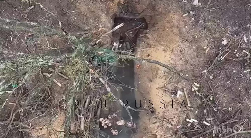 ����������� ������ ������� � ����� ����� ����� ��� ����