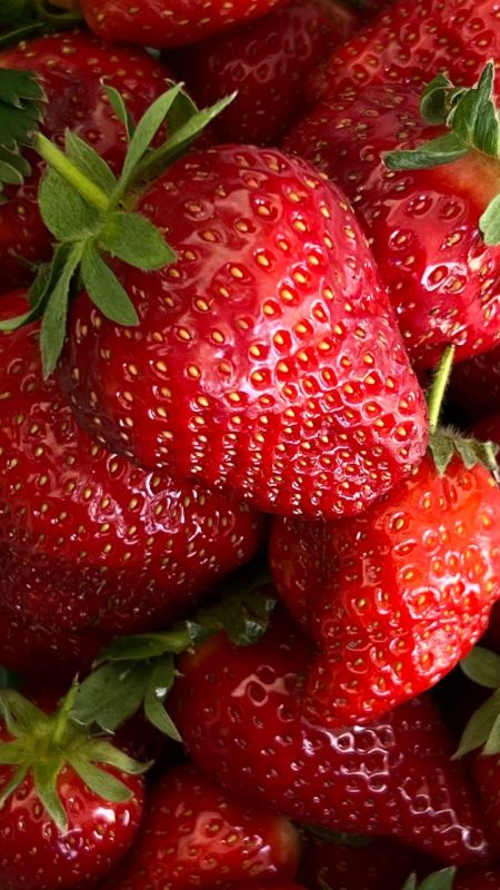 �������� �� ������� ����� ������� ����� �� 65 �� 120 ������, ������� �� �������