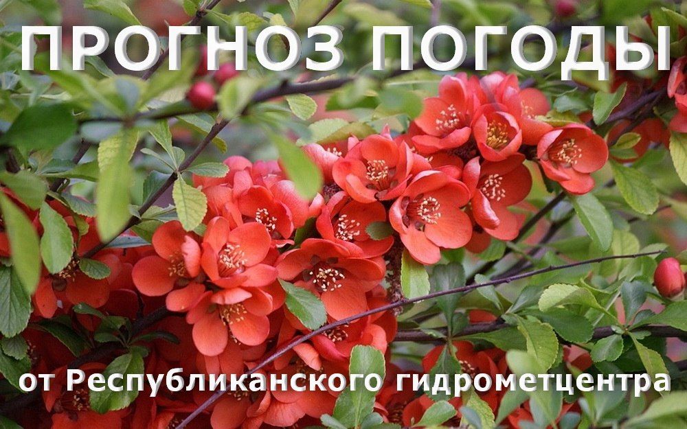 5 ��� ��������� ���������� ����������, ��� �������