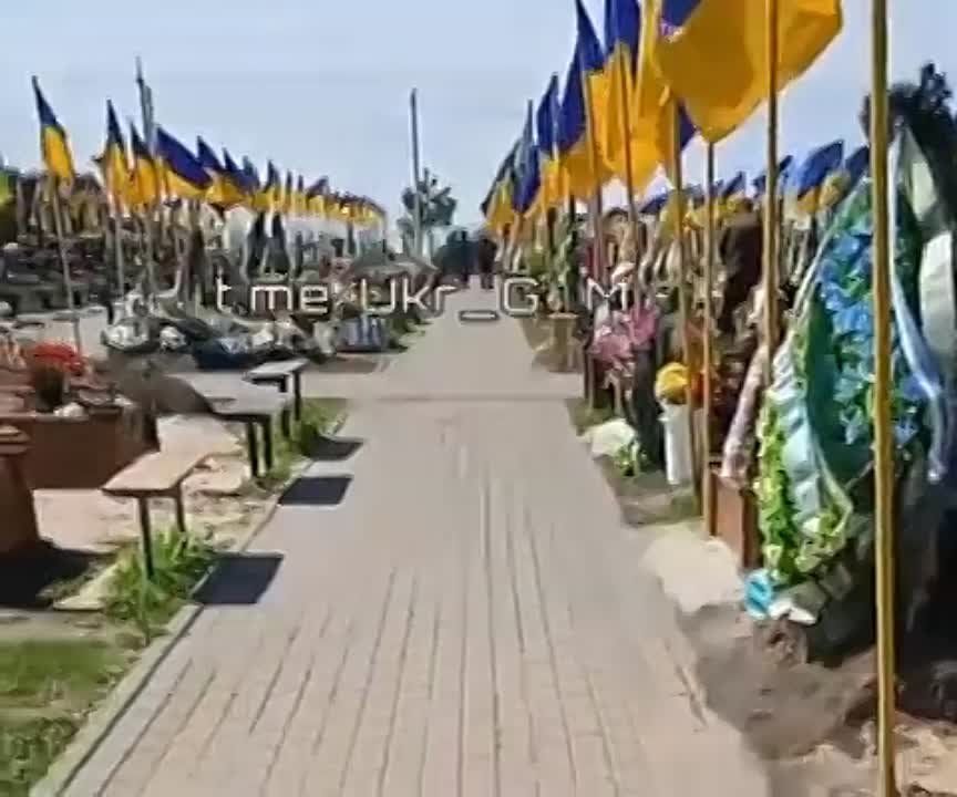 ����� ������� ������ �� ���� �������