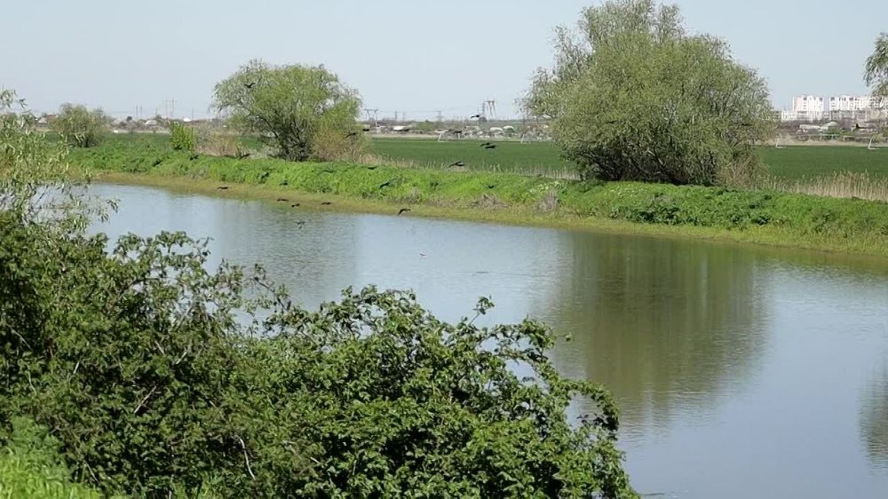 � ��������������� �� ������� �������� ������ ������������� ����