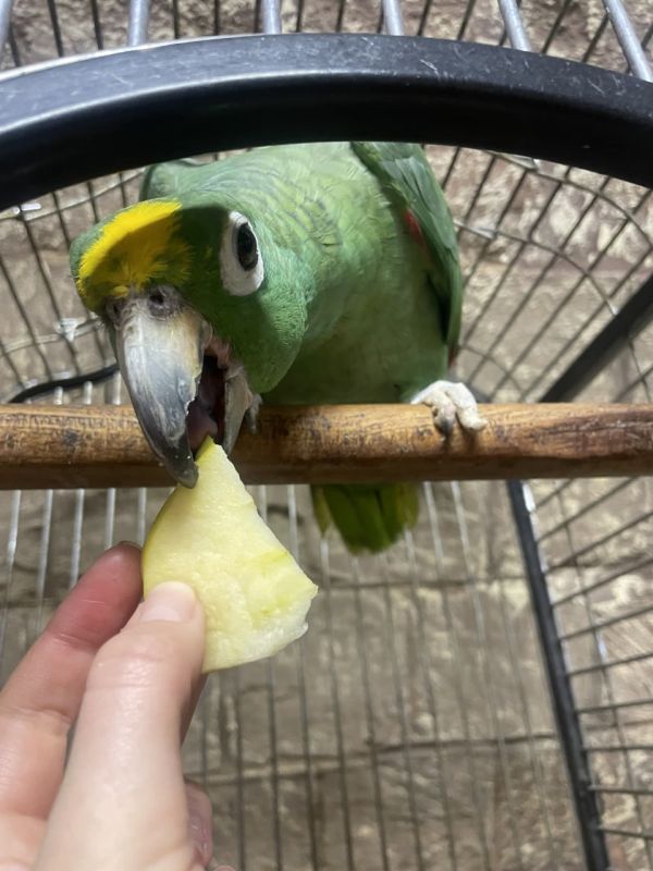 � ��������� �������, ������� ����� ������ ����������, �������� �������