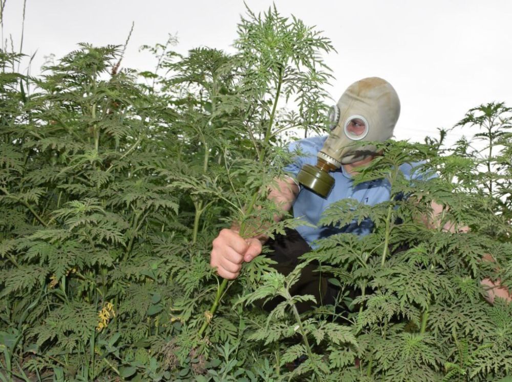 � ������������� � 15 ��� ���������� ��������� ������ � ���������