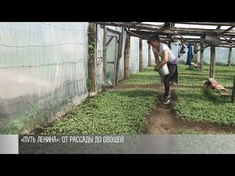 ����� ������: �� ������� �� ������