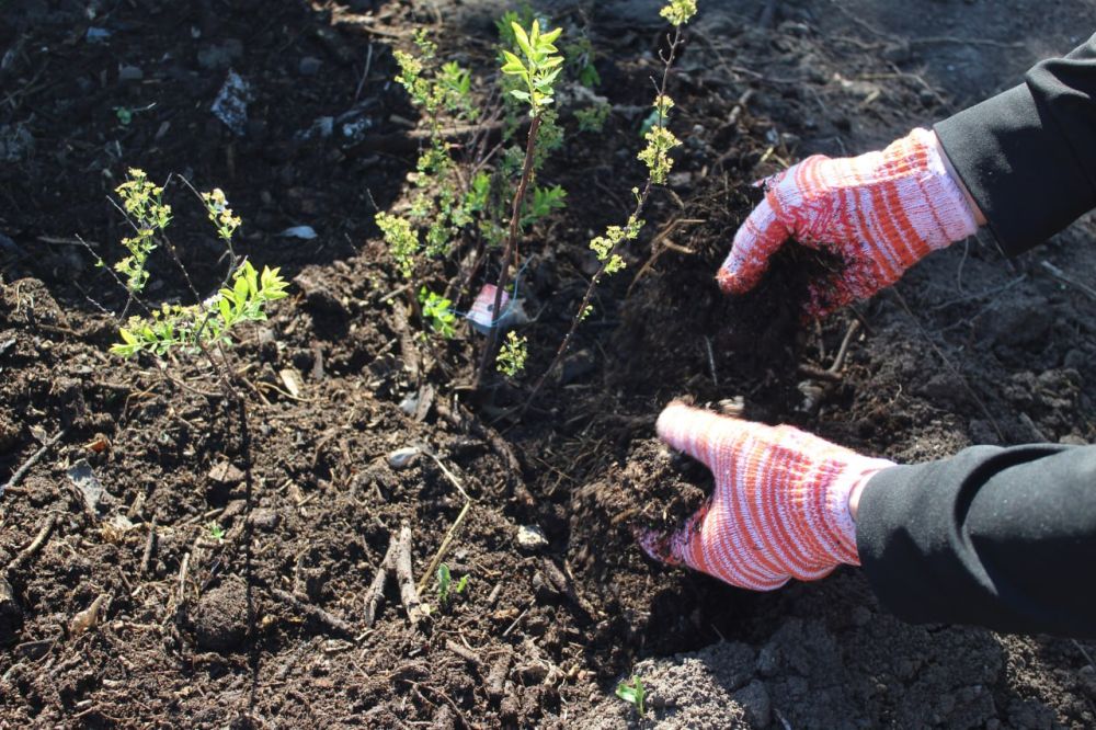 ����������������� �� ����������!